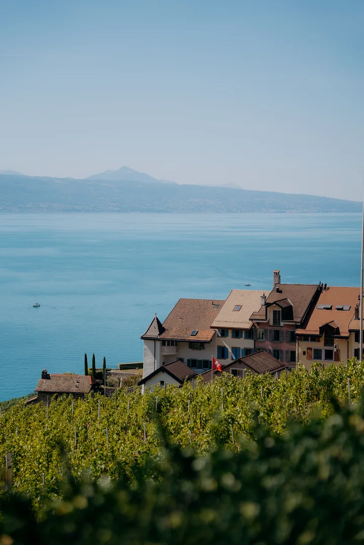 REEFORM x BWA au Domaine du Clos de la République, Épesses — vue sur les vignes de Lavaux et le lac Léman